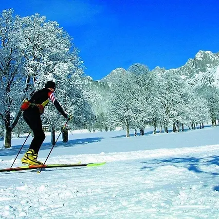 Betovering Van De Levenskracht Holiday home Ramsau am Dachstein